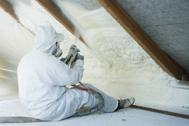 Best Eco-Friendly Insulation Solutions  in Dickinson, TX