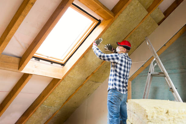 Types of Insulation We Offer in Dickinson, TX